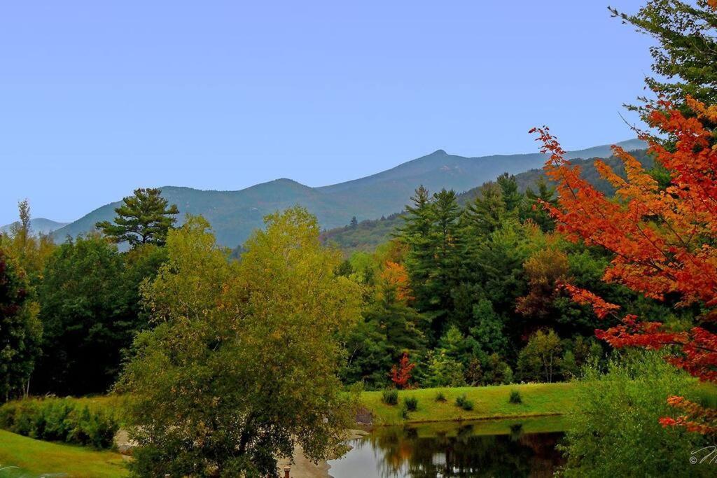 Thornton White Mountain Retreatヴィラ エクステリア 写真
